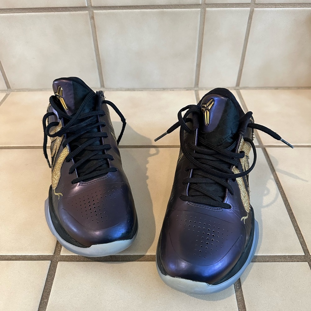 Nike Kobe 5 Protro Year Of The Mamba Eggplant